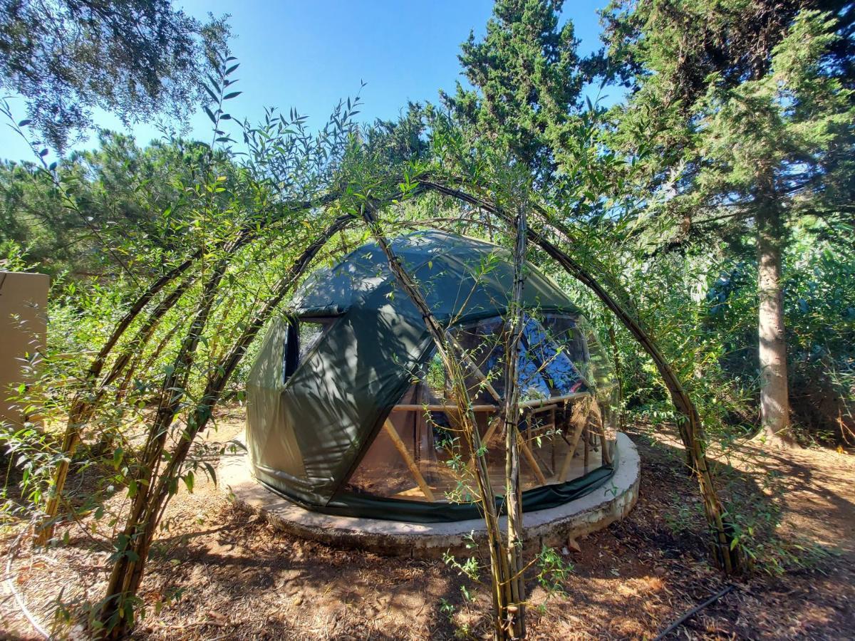 Salema Eco Camp - Sustainable Camping & Glamping Luaran gambar